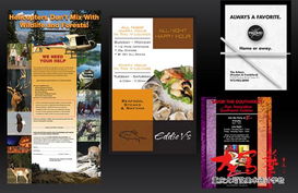 Deanna Fusco平面设计理念与重庆家装设计师培训价值探析